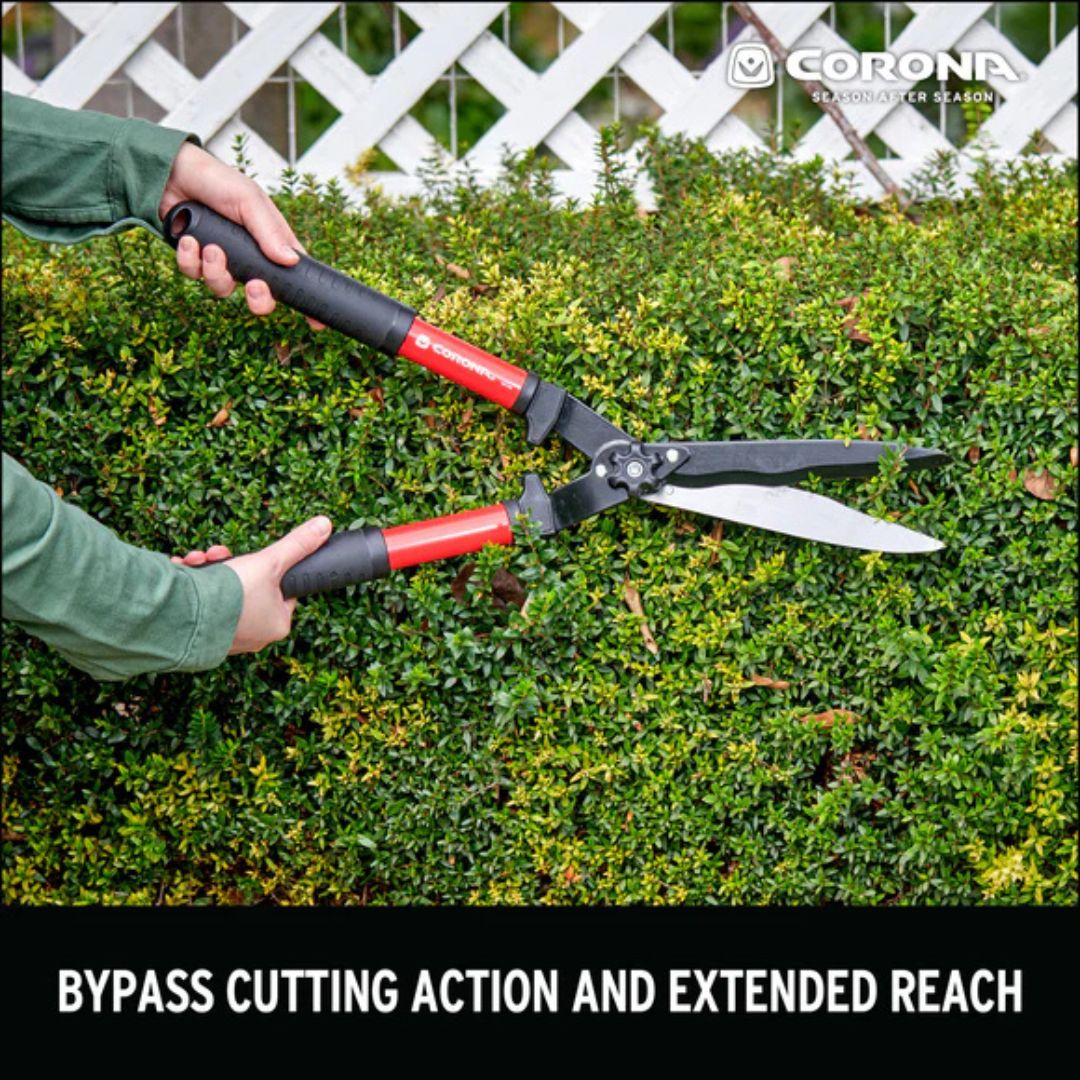 Yard Essentials Hedge Shears – Corona – 8″